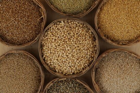  Millet Flour: Unleashing its Potential for Sustainable and Nutritious Food Production!